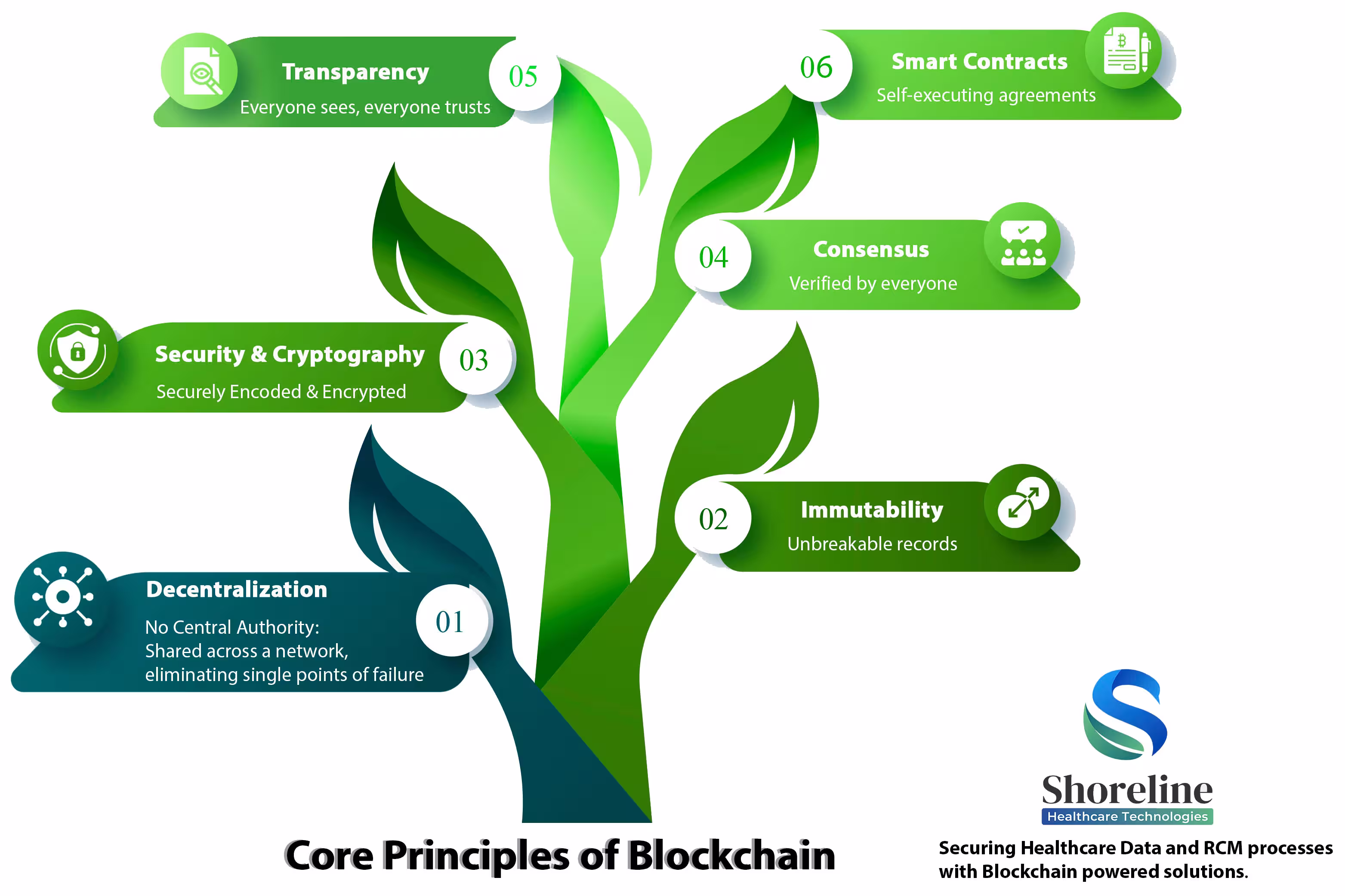 infographics of Core Principles of Blockchain