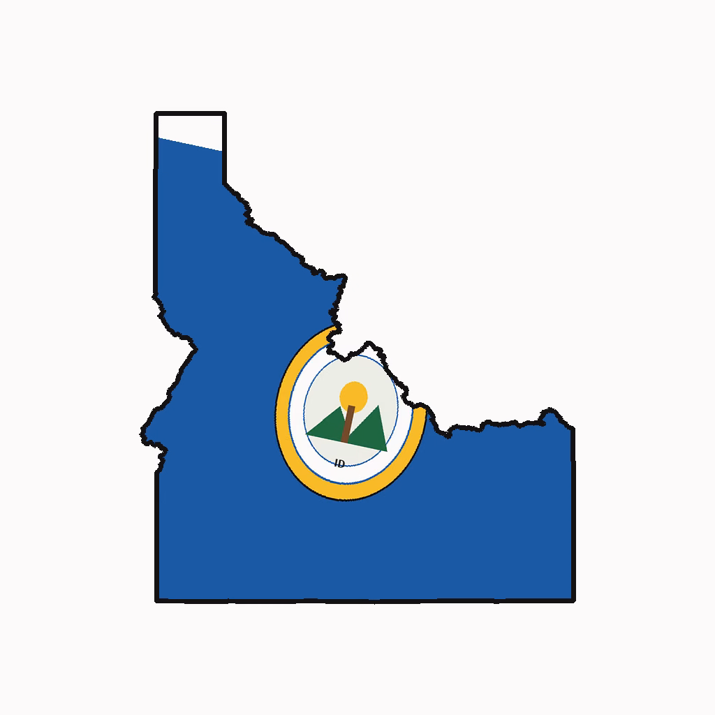 Idaho Medical Billing Practice Overview