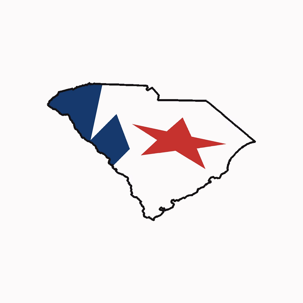South Carolina Medical Billing Practice Overview