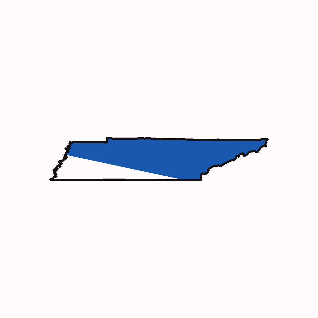 Tennessee Medical Billing Practice Overview