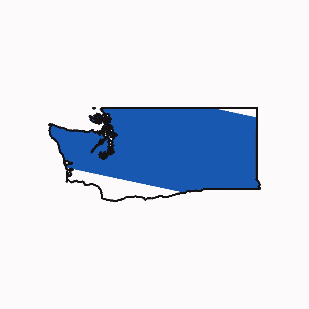 Washington Medical Billing Practice Overview